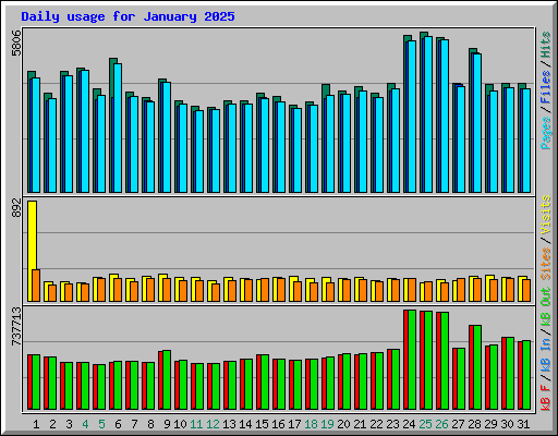 Daily usage for January 2025