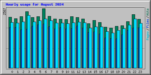 Hourly usage for August 2024