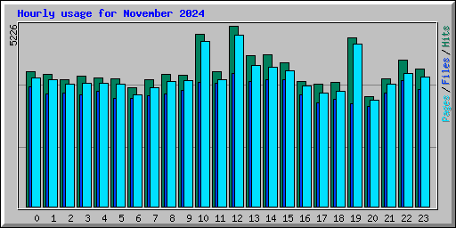 Hourly usage for November 2024