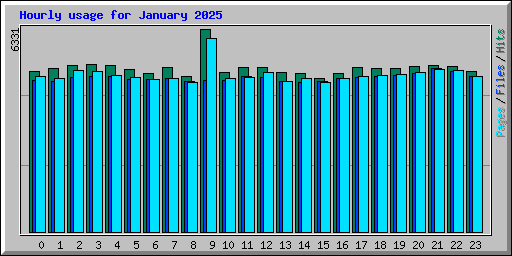 Hourly usage for January 2025