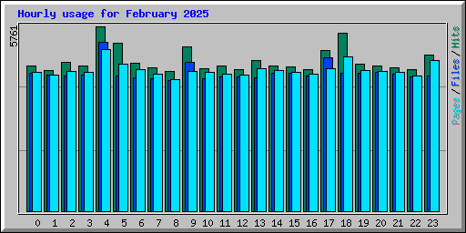 Hourly usage for February 2025