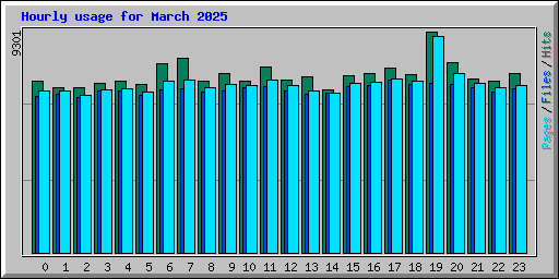 Hourly usage for March 2025
