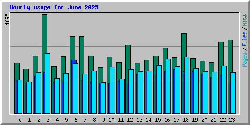 Hourly usage for June 2025
