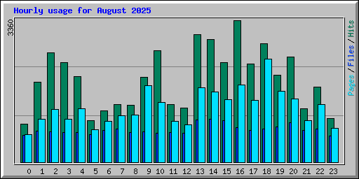 Hourly usage for August 2025