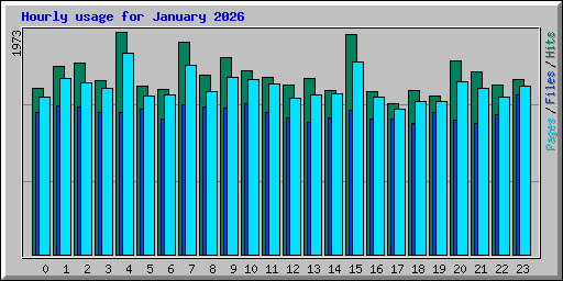 Hourly usage for January 2026