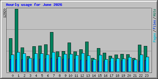 Hourly usage for June 2026